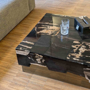 Sofatisch mit goldfarbenem Metall Sockel und Tischplatte aus zwanzig Millionen Jahre altem versteinertem Holz, glamouroeser Sofa Tisch