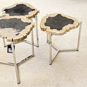 Versteinertes Holz Fosil Stone