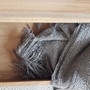 Detailansicht vom Teak massiv Holz mit schoenem Plaid als Accessoir